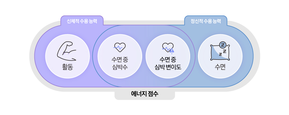 신체적 수용 능력 활동 정신적 수용 능력 수면 중복 영역 수면 중 심박수 수면 중 심박 변이도 에너지 점수