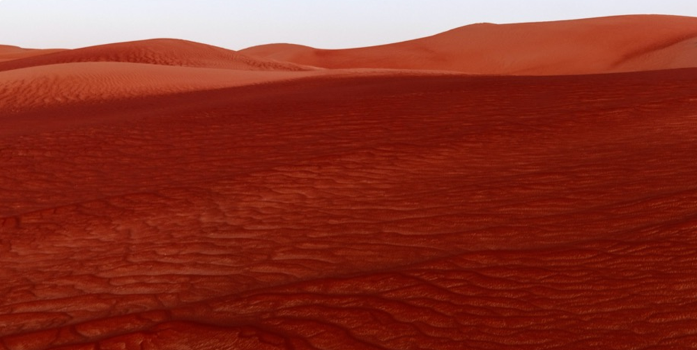 팔라니 모한(Palani Mohan)의 ‘붉은 사구(Red Dunes, 2021)’